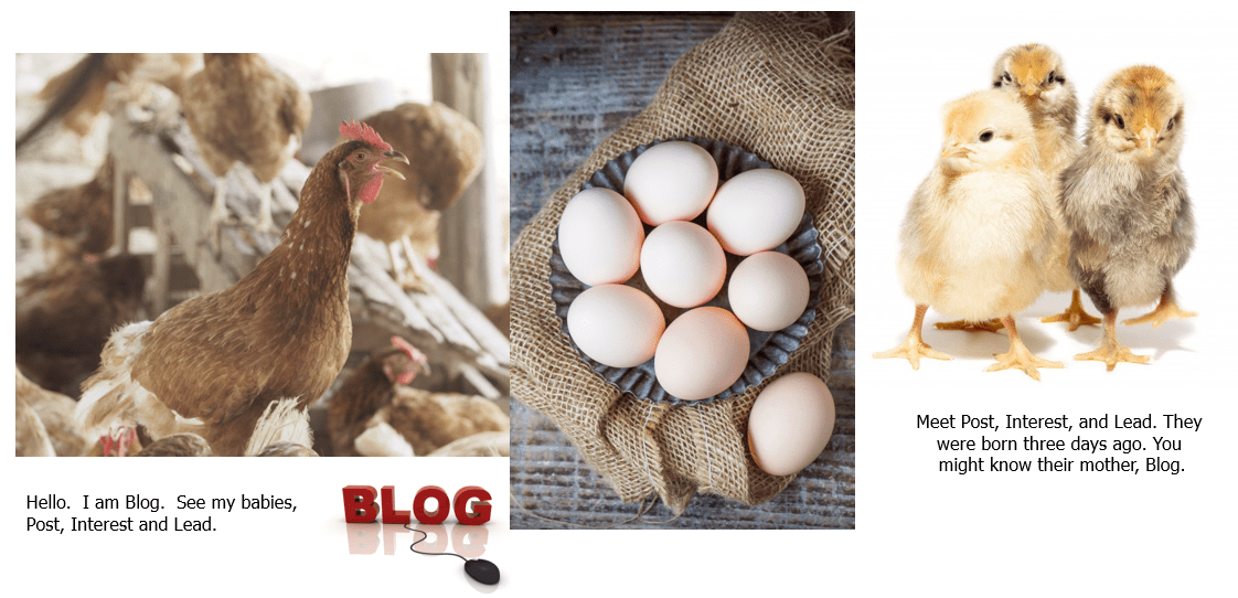 Photo divided into three sections: One is a mother hen. One are her eggs. The last are her three chicks named Post, Interest, and Lead.