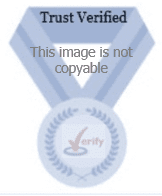 Picture of Trust Verified medal
